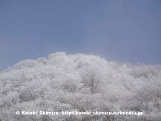 霧氷